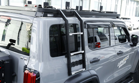 タンク 300 500 SUV アクセサリー 4x4 オフロード サイド レッダー 2020年の屋根 サイド レッダー